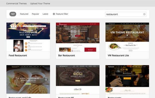 4 Features To Look For In A WordPress Theme
